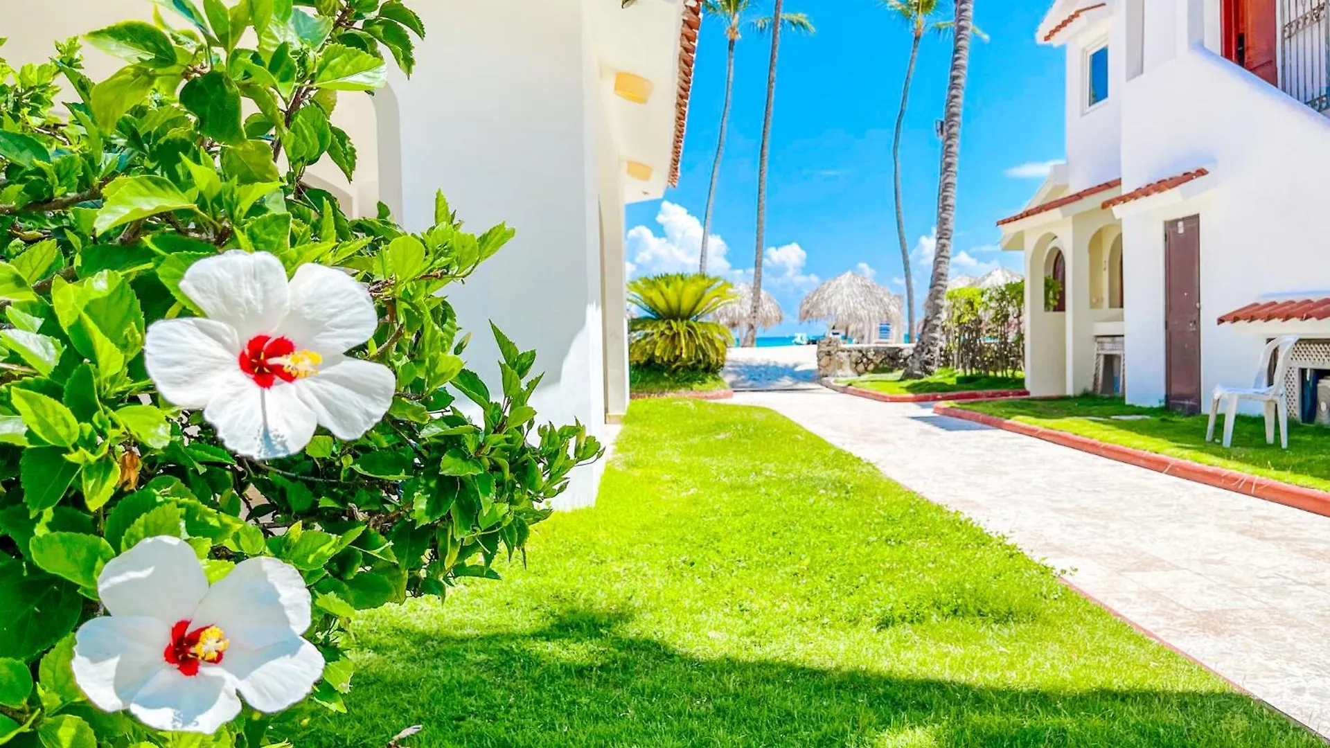 Rooftop Pool Studios Suites Ducassi Deluxe Hotel Beach Club & Spa بونتا كانا
